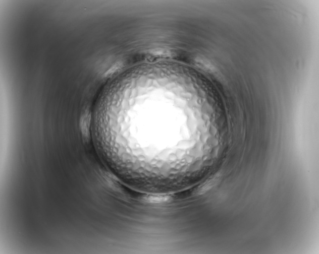 X0000086990576200704301340