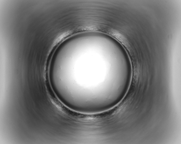 X0000086990578200704301339