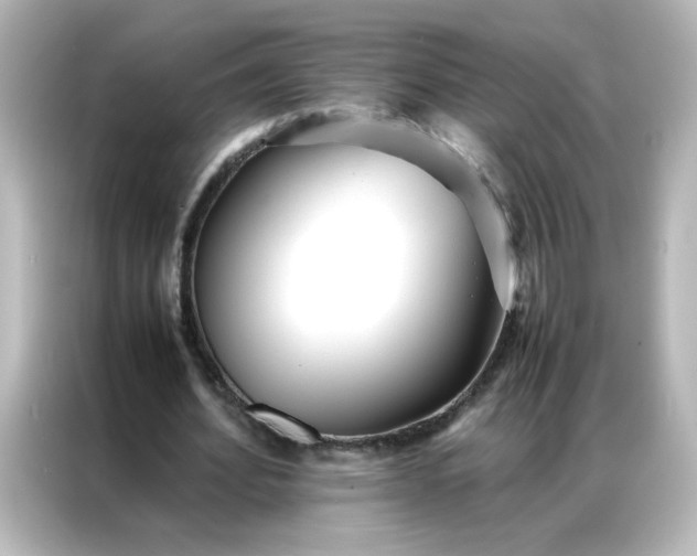 X0000086990580200704301339