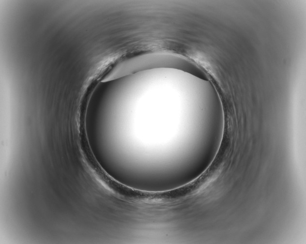 X0000086990581200704301339