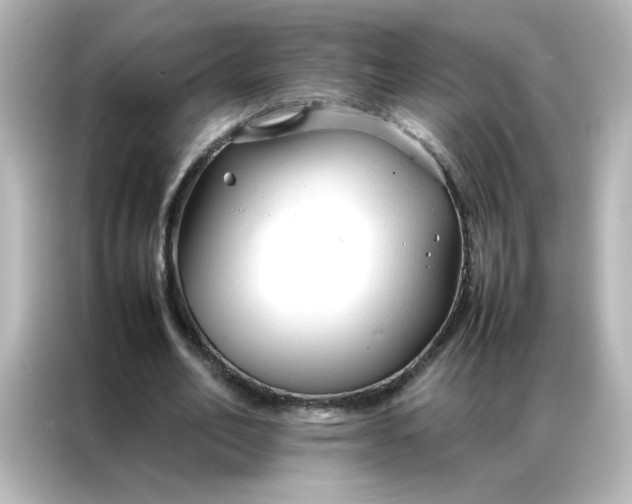 X0000086990582200704301339