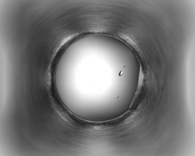 X0000086990584200704301339