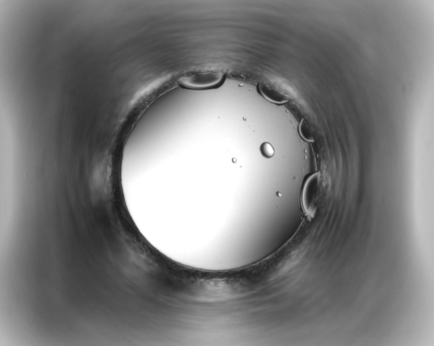 X0000086990588200704301339