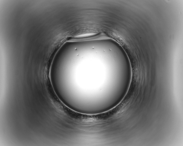 X0000086990594200704301339