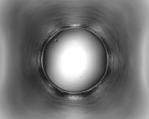 X0000086990598200704301339