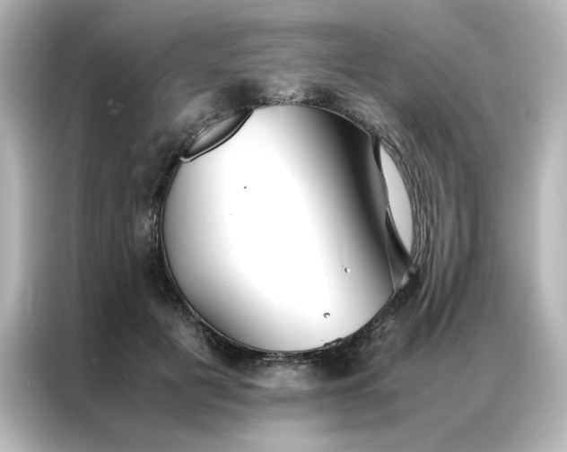 X0000086990601200704301339