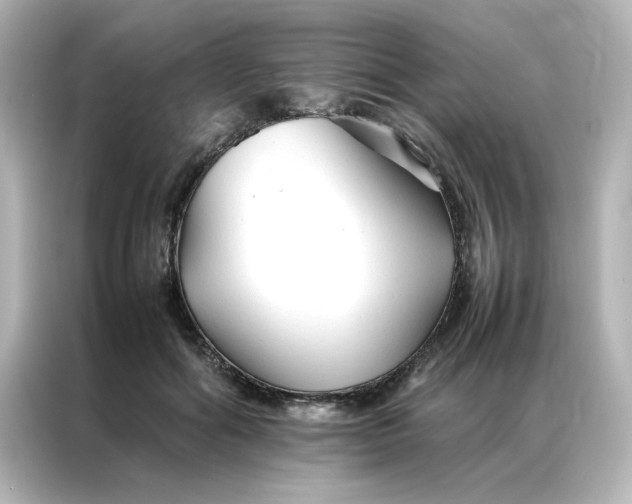 X0000086990602200704301339