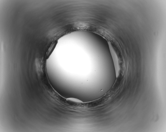 X0000086990604200704301339