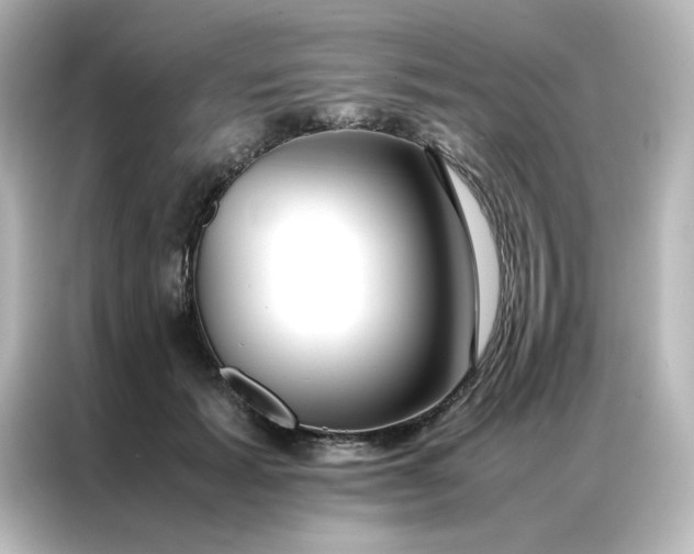 X0000086990605200704301339