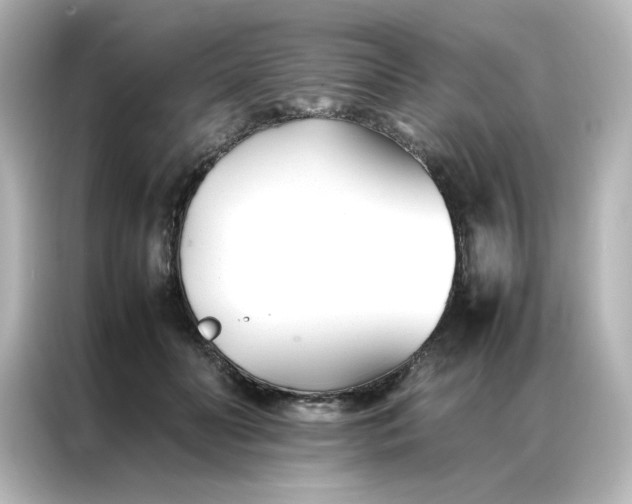 X0000086990606200704301339