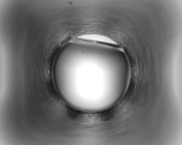 X0000086990615200704301339