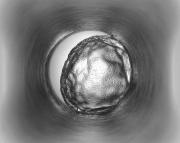 X0000086990626200704301338