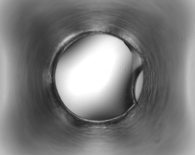 X0000086990628200704301338