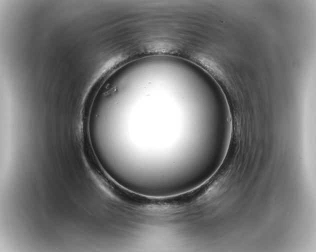 X0000086990630200704301338