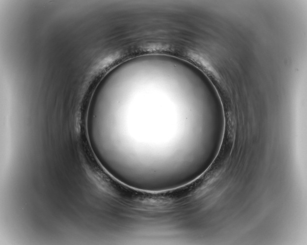 X0000086990631200704301338