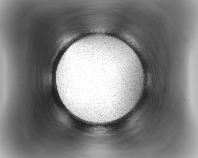 X0000086990636200704301338