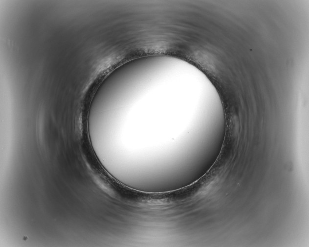 X0000086990638200704301338