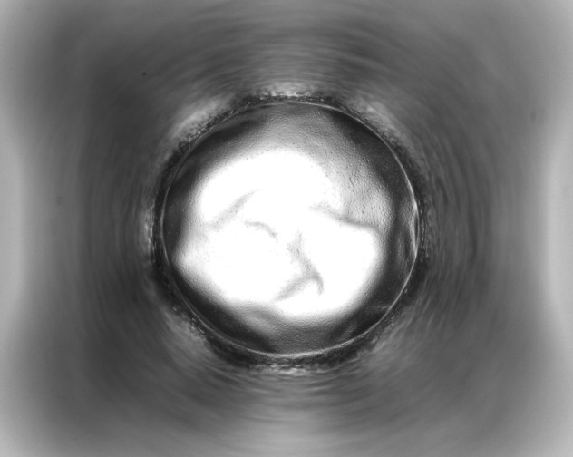 X0000086990640200704301338