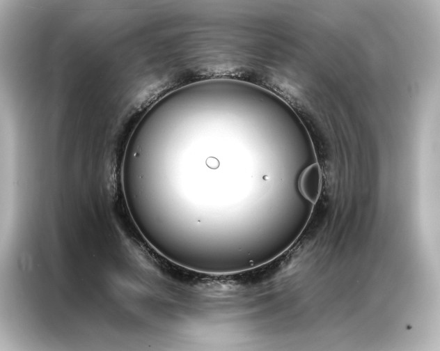 X0000086990642200704301338