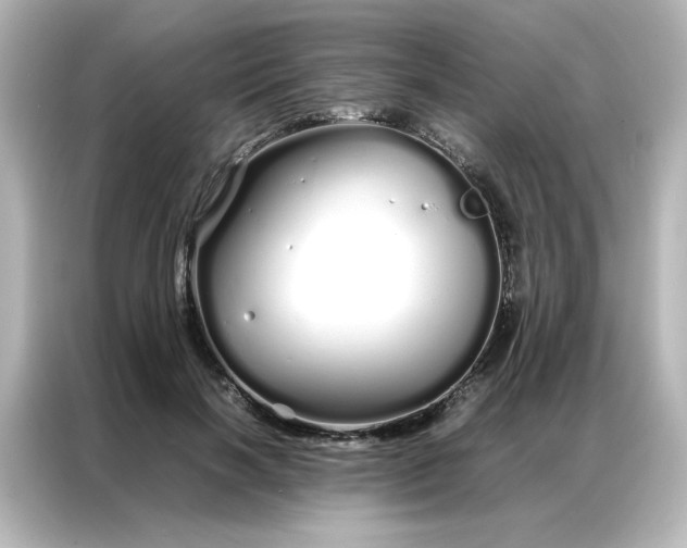 X0000086990646200704301338