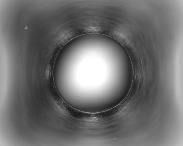 X0000086990647200704301338