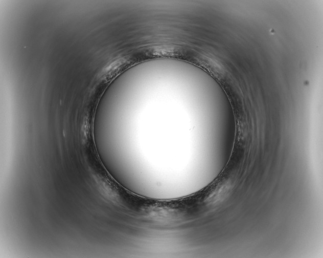 X0000086990648200704301338