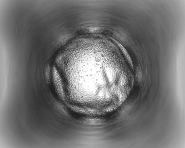 X0000086990650200704301338