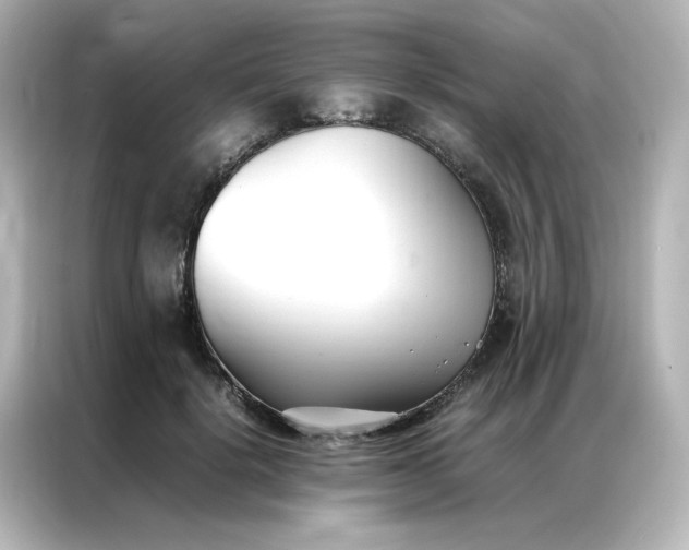 X0000086990652200704301338