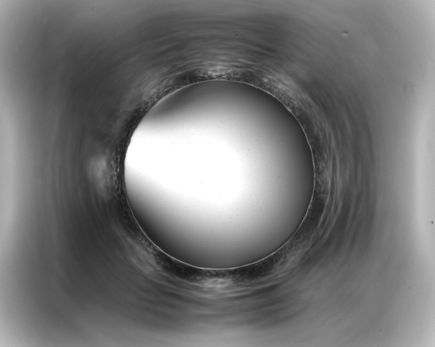 X0000086990653200704301338