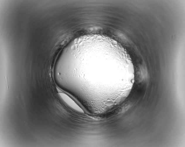 X0000086990654200704301338