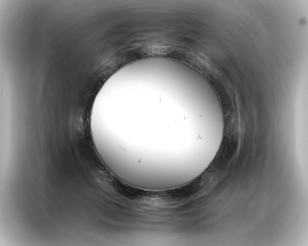 X0000086990655200704301338