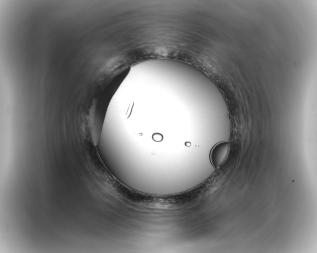 X0000086990656200704301338