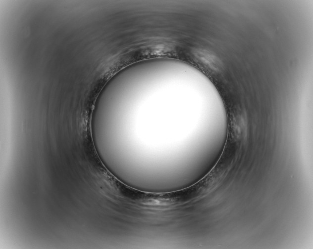 X0000086990657200704301338