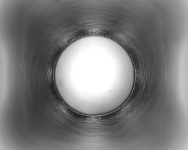 X0000086990660200704301338