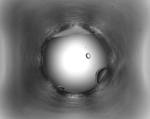 X0000086990661200704301338