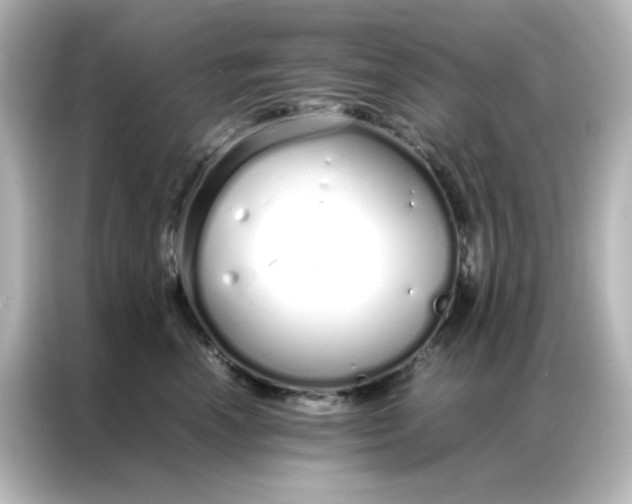 X0000086990666200704301339