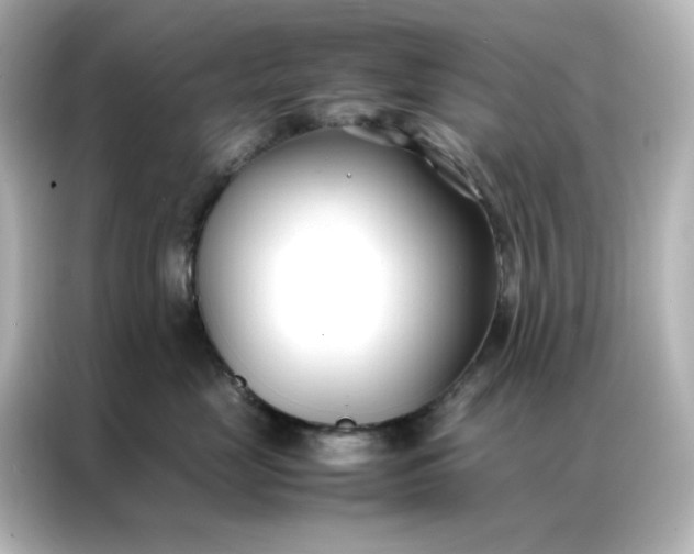 X0000086990669200704301339