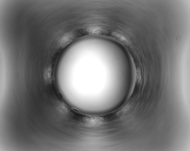 X0000086990670200704301339