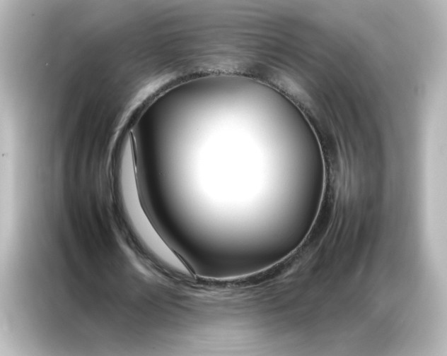 X0000086990674200704301338