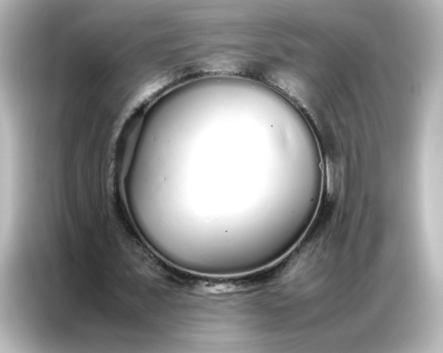 X0000086990675200704301338