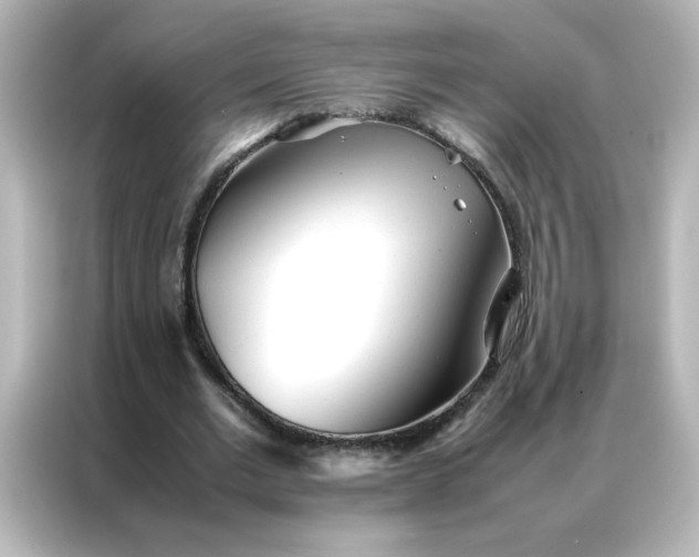 X0000086990677200704301338