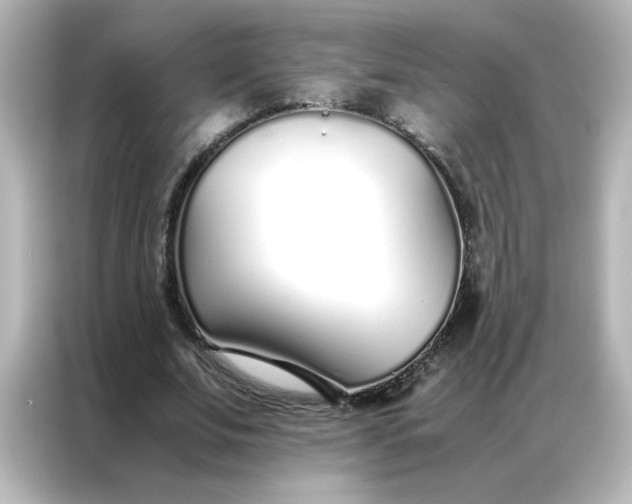 X0000086990679200704301338