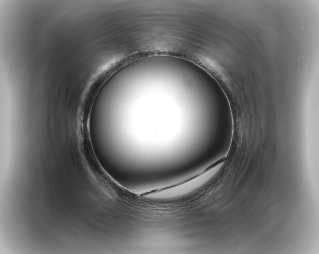 X0000086990680200704301338