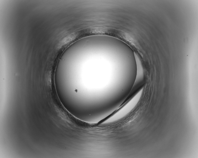 X0000086990681200704301338