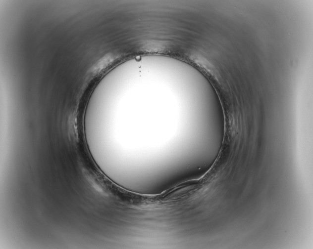 X0000086990682200704301338