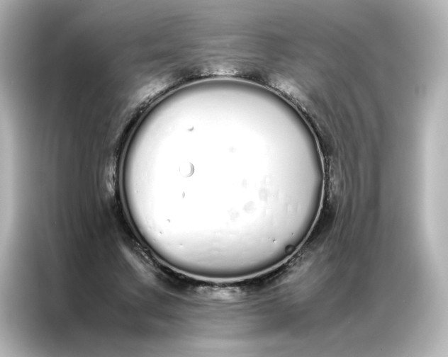 X0000086990683200704301338