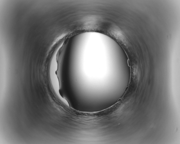 X0000086990684200704301338