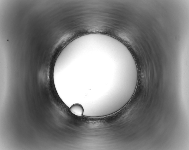 X0000086990686200704301338