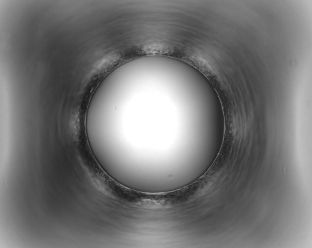 X0000086990690200704301338