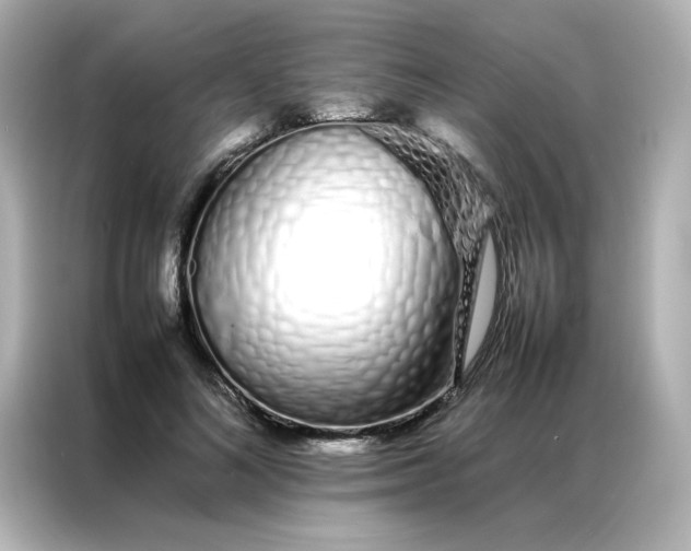 X0000086990692200704301338